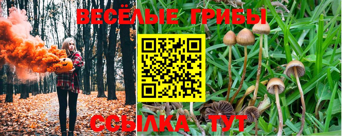 Псилоцибиновые грибы мицелий  Вход с VPN  наркошоп  Пушкино 